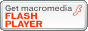 download flash plug-in